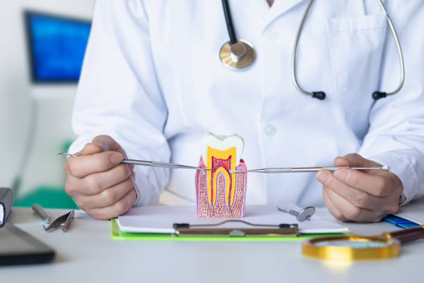 Best Emergency Dental Care for Abscessed Tooth in Saltville, VA